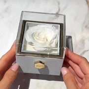 Eternal rose gift box - Bijoun